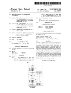 MLE FPGA IP Core Patent US10708199 p1