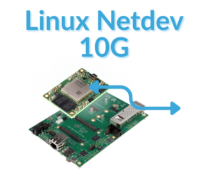 FFSS TE0955 Netdev-10G