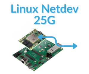 FFSS TE0955 Netdev-25G